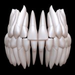 Teeth 3D Print Model