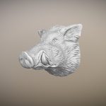 The muzzle of a wild boar