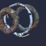 tileable scanned branches