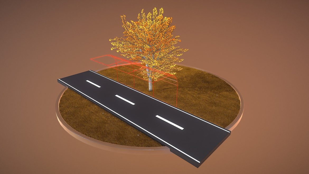 tilia tree 6 meter cropped branches autumn.thumb