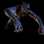WEREWOLF ANIMATIONS