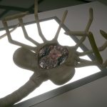 Alien Facehugger scene 05