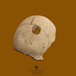 Battle of Culloden Skull