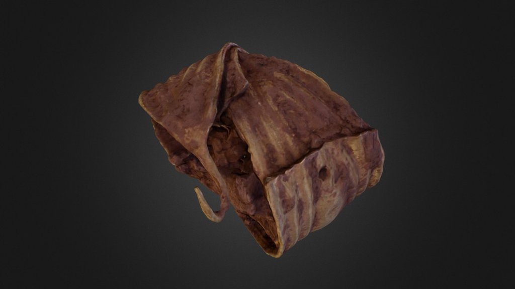 bronze age gold bracelet set c.thumb