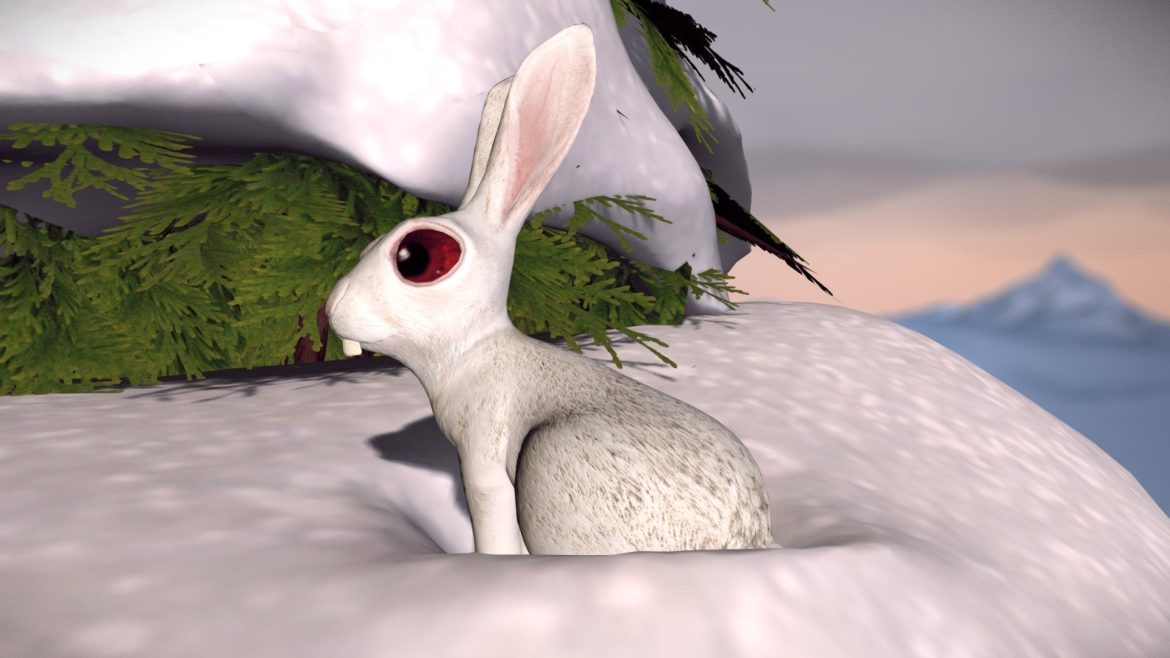 bunny new bear.thumb