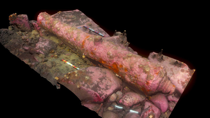 cannon 6002 gun rock outer farne islands.thumb