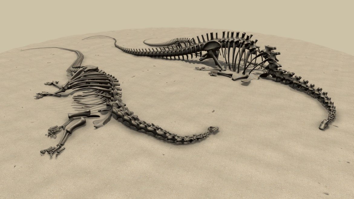 diplodocus skeletons.thumb 2