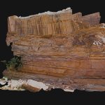 Hickman Bridge Trail-Head – Rockfall Area