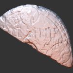 Lindisfarne: Anglo-Saxon Name Stone v2