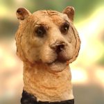 Lion-tiger-bear #3DST9