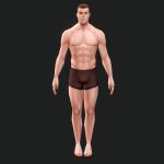 low poly male anatomy model
