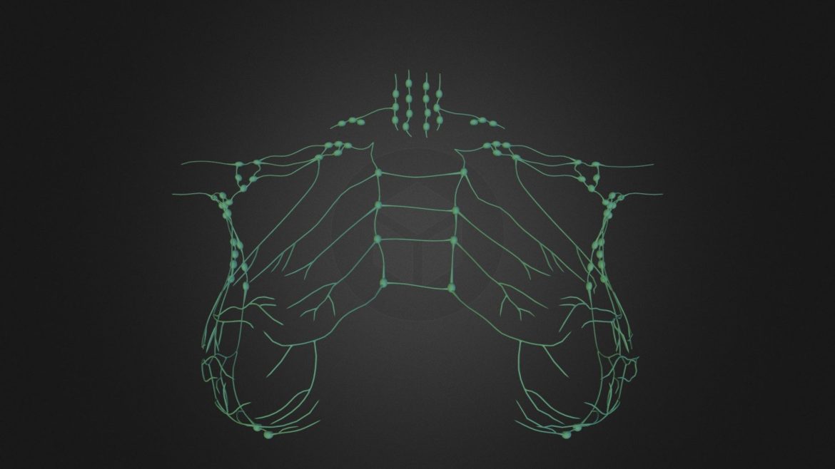 lymph obj curtzip.thumb