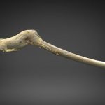 Propulseur sculpté figurant un cheval bondissant