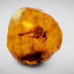 real time refraction demo mosquito in amber.thumb