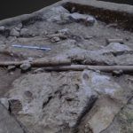 Roman Legionary Camp – Legio VI Ferrata