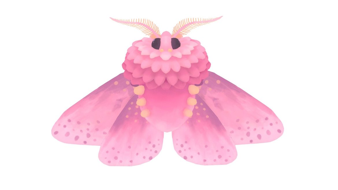 rosy moth.thumb