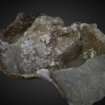 Southgates – Collapsed Roman mosaic floor