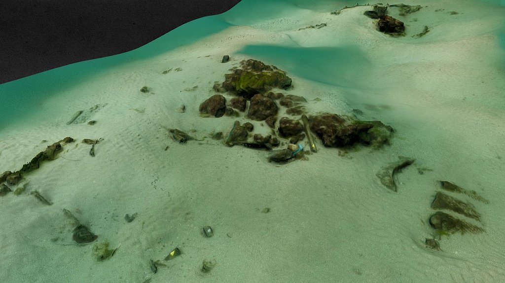 spanish galleon ribadeo 2015 forseadiscovery.thumb