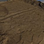 Sunset Mesa Footprints