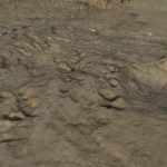 Sunset Prints – First Exposure