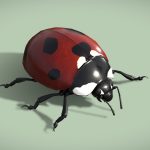 Animated Ladybug (Coccinella Septempunctata)