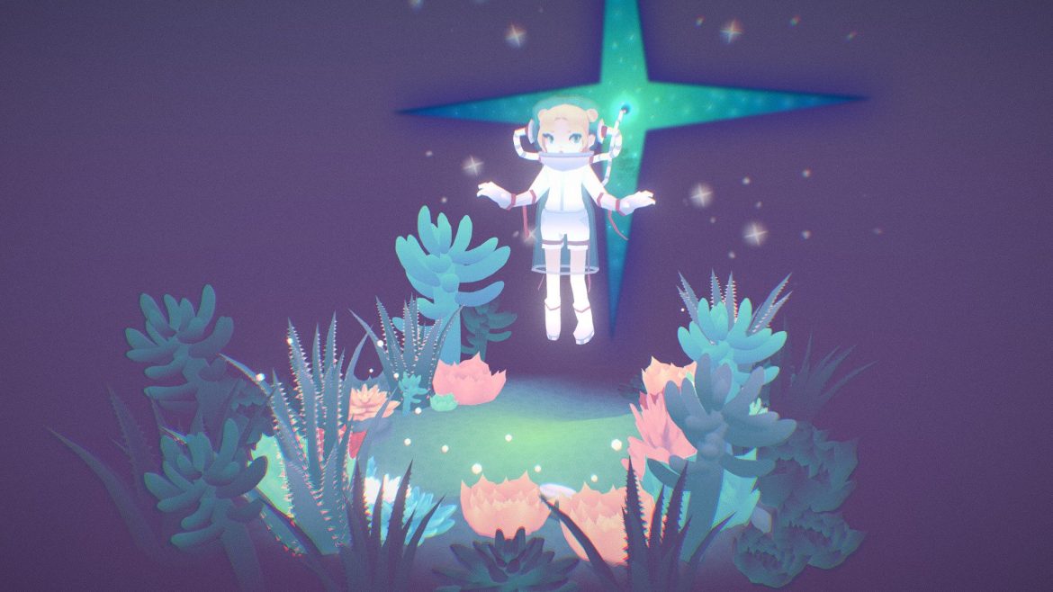 planet of succulents.thumb