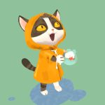 Raincoat animals – cat