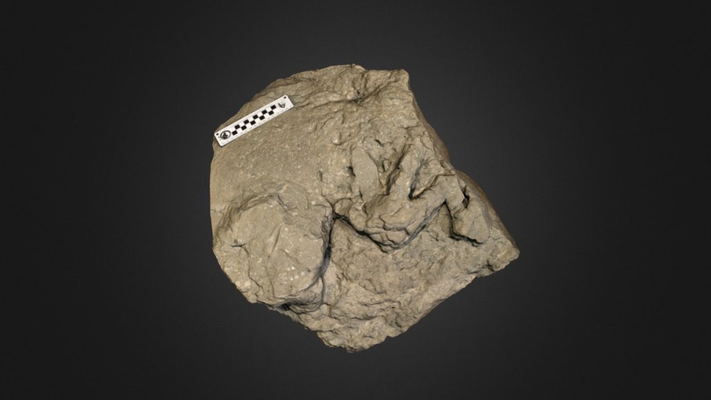 therizinosaur footprint.thumb
