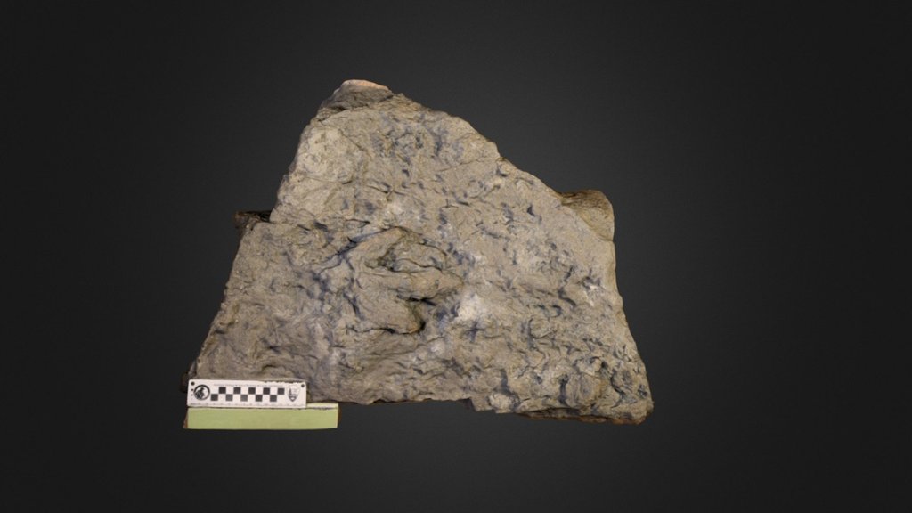 theropod footprint.thumb