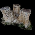 Trio at Florissant Fossil Beds