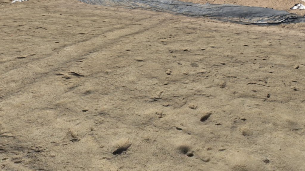 tucson footprints sixth