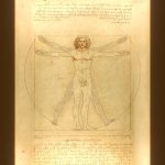 Vitruvian Man 3D