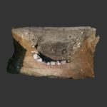 Well of Limestone. Kapelvej