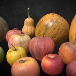 4K Photogrammetry Fruits