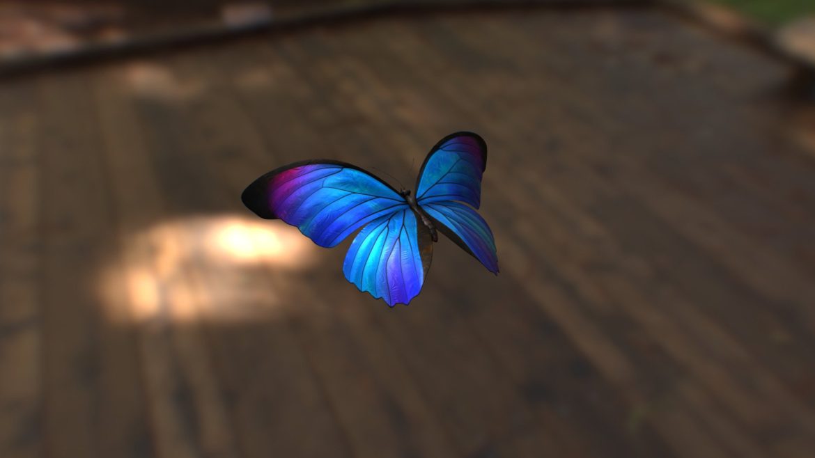 animated blue morpho butterfly.thumb