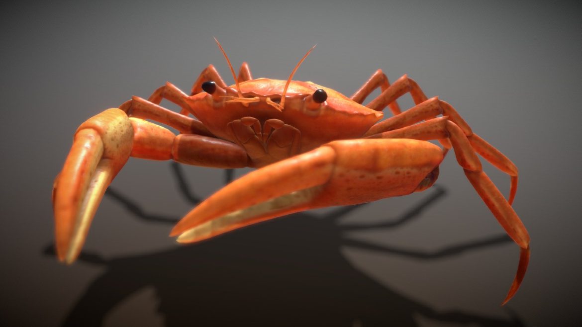 animated crab.thumb