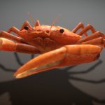 Animated crab