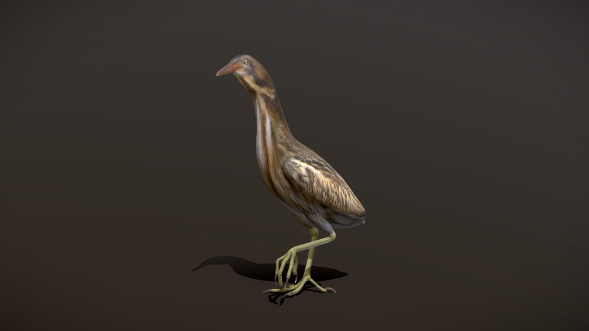 botarus stellaris.thumb