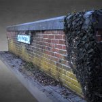 Brick Wall And Ivy Vigne