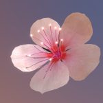 Cherry Blossom_rigged,animated