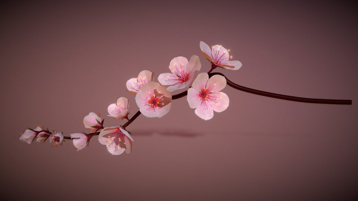 cherry blossoms branch rigged animated.thumb