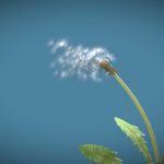 Dandelion in the Wind