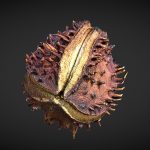 ground scatter seed 07.thumb