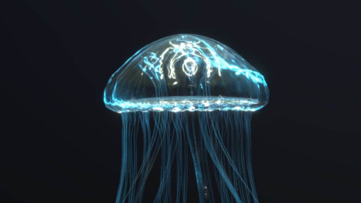 jellyfish.thumb