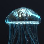 JellyFish