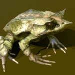 long nosed horned frog.thumb