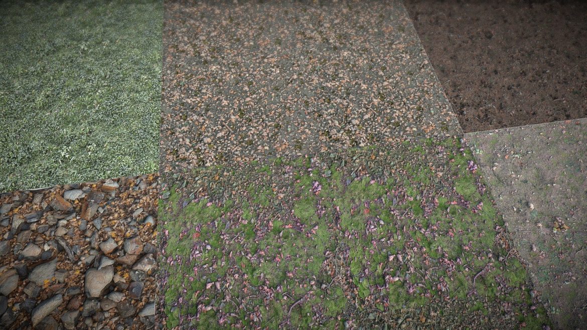 oak pine forest grounds vol 10.thumb