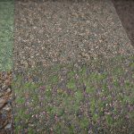 oak pine forest grounds vol 10.thumb