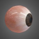 realistic human eye.thumb