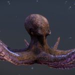 Swimming Octopus